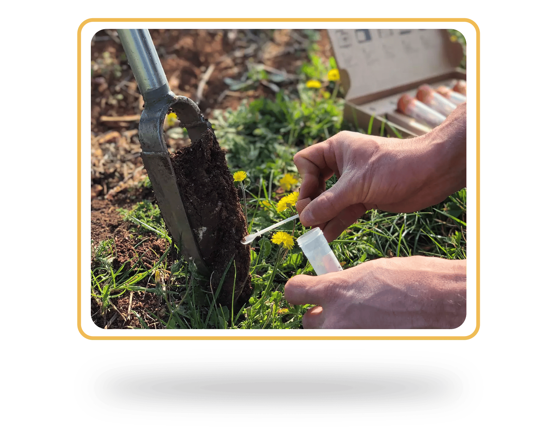 complete-guide-to-soil-testing